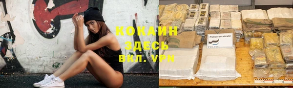 мдпв Абинск