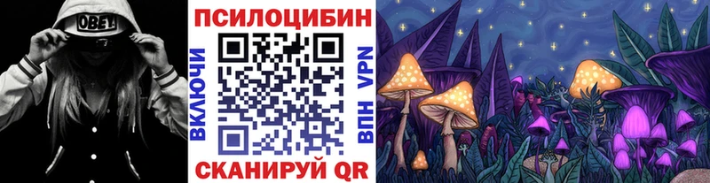 Галлюциногенные грибы Cubensis  купить  сайты  гидра зеркало  Новая Усмань 
